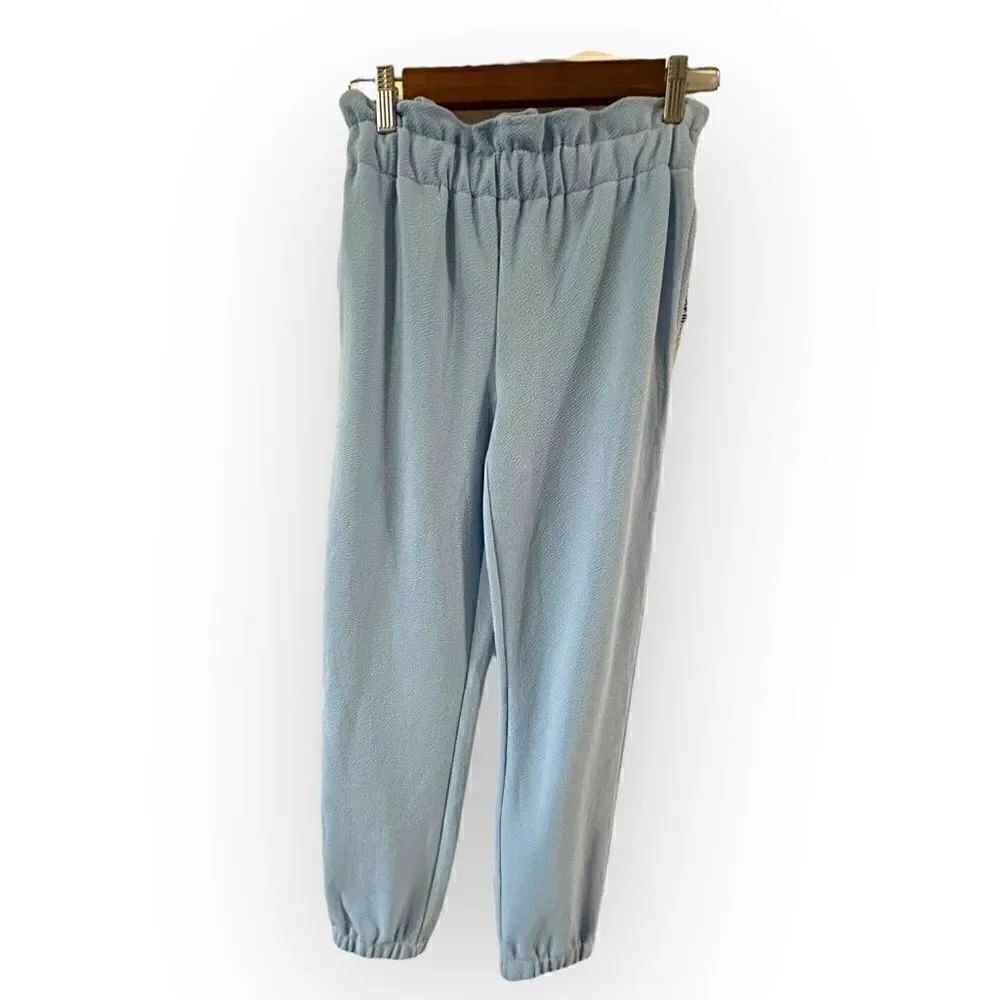 NWT Barr III blue paper bag style pants size xs polyester spandex style 10014351